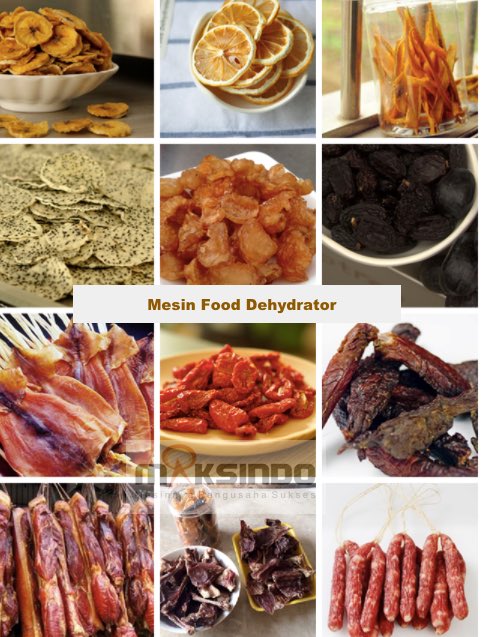 Mesin-Food-Dehydrator-10-Rak-MKS-DR10-3 (1)