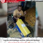 UD. Jagung Makmur : Mesin Pipil Jagung Luar Biasa